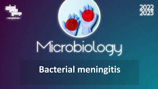 L 1 bacterial meningitis Microbiology [upl. by Ahsikahs]