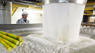 How Sugar Is Made from Sugarcane  Amazing Sugar Factory Process [upl. by Magna]