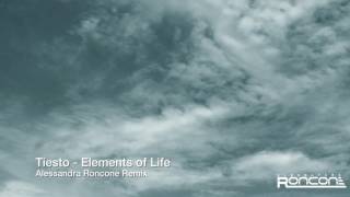 Tiesto elements of Life Alessandra Roncone remix [upl. by Dallman]