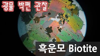 광물 흑운모 박편 관찰하기 Biotite in thin section [upl. by Hathaway707]