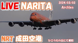 🔴LIVE at NARITA International Airport Plane Spotting 20240302 成田空港ライブカメラ 成田空港 NRTRJAA [upl. by Weatherby]