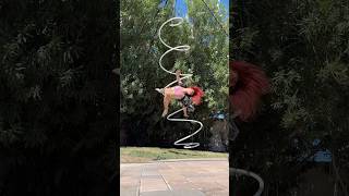 Spiraling 🌀out of control aerial aerialspiral aerialist circus cirque [upl. by Franzen]