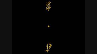 An echo from the hosts that profess infinitum  Shabazz Palaces [upl. by Neelra]