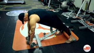 Musculation Triceps  SUPER CONGESTION  Partie 2 [upl. by Ecirtra]