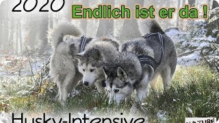 Unser Husky  Kalender 2020 ist da   Nature Trails [upl. by Sedberry]