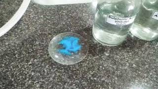 SALT ANALYSIS  Test for Sulphate anion SO42 in Copper Sulphate salt [upl. by Aicyle925]