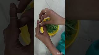 Garland tulasi mala ganneru flowers mala in god trending viralvideo youtubeshorts flowers [upl. by Sophronia266]