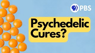 Can Psychedelics Really Treat Depression and Anxiety [upl. by Amanda]