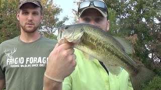 How to Fish a Senko  Bass Fishing [upl. by Novihc]