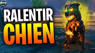 Ralentissez 10 Chien de lEnfer avec le Mod Munition Cryogénisation Zombie MW3 Astuce Emplacement [upl. by Bast756]