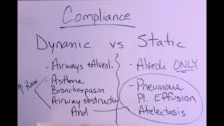 Dynamic vs Static Compliance with Graphics Analysis [upl. by Lazar]