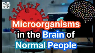 Unveiling the Brain Microbiome  New Insights and Research [upl. by Isaiah315]