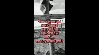 💥Чего немцы никогда не клали в могилы своих сослуживцев shorts [upl. by Darleen362]