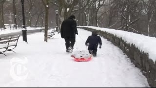 NYRegion Snow Day in New York City  The New York Times [upl. by Akiwak766]