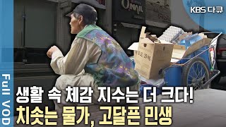 물가상승 직접적인 타격은 서민들이다 하루하루 올라가는 물가는 저소득층과 중산층의 불안지수도 다르다 2011년 물가인상 밀착취재 KBS 20110809 방송 [upl. by Nolahc]