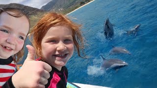 Swimming with WiLD DOLPHiNS Ocean Adventure to Snorkel with a Dolphin Pod amp Sea Turtles in Hawaii [upl. by Ballard928]