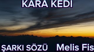 MELİS FİS  quotKARA KEDİquot ŞARKI SÖZLERİLYRICS [upl. by Ahsinit]