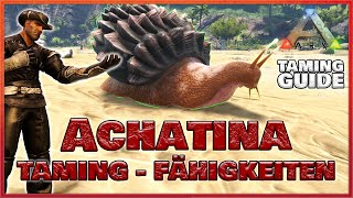 ★ ARK TAMING GUIDE ★ Die Achatina und Ihre Fähigkeiten  ARK Survival Evolved  Doctendo [upl. by Varhol]