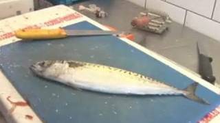 A Guide To Filleting Mackerel [upl. by Janie]