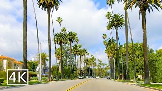 4K Palm Tree Lined Streets in Beverly Hills  Beverly Dr [upl. by Giah]