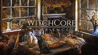 WitchCore ◈ Autumn Forest 🍂 Good Witch Cabin  Cats Herbs Light Rain  Soft Music [upl. by Lomasi]