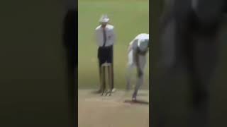 Joel Garner extreme pace and swing [upl. by Eisdnyl653]