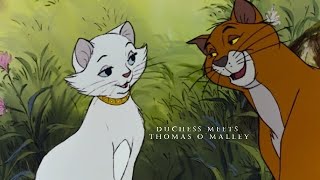 Duchess meets Thomas O´Malley  Aristocats HD [upl. by Leibarg]