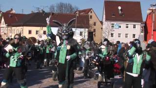 Narrentreffen Rottenburg 2013 [upl. by Seve]