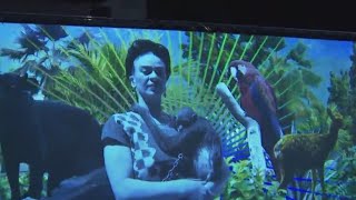 Immersive Frida Kahlo exhibit in Brooklyn brings artist to life [upl. by Malkah]