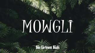 PNL quotDéconnectéquot type Beat  Don Corleone Beats  Mowgli [upl. by Notsirk]