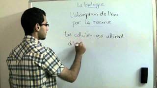 La Biologie  Chapitre 1  labsorption de leau par les poils de la racine  Abdallah Reda el Sayed [upl. by Ajidahk]