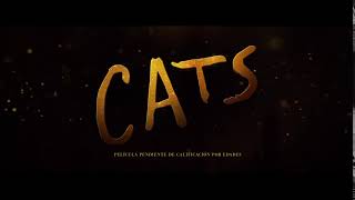 Gatos  Trailer español HD [upl. by Ocirederf]