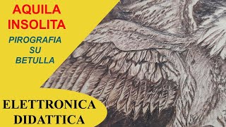 Aquila e la pirografia Pirografia su legno di unaquila Usiamo un pirografo per un bel lavoro [upl. by Tenaj]