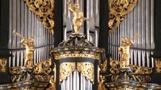 Sietze de Vries  Utrecht Dom Improvisation Psalm 108 [upl. by Mathi629]