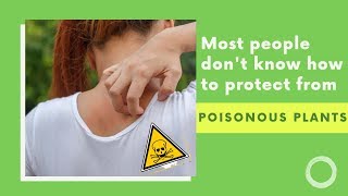 HOW TO PROTECTYOUSELF FROM POISONOUS PLANTS  Harmful plant [upl. by Modestia]