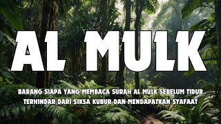 BACAAN MERDU SURAH AL MULK ALQURAN PENGANTAR TIDUR [upl. by Neirod439]