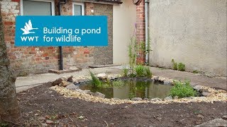 How to create a pond in your garden for wildlife  WWT [upl. by Atinet]