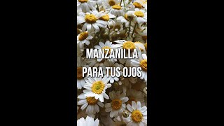 🌾¿Crees que la manzanilla para aliviar tus ojos ￼￼ [upl. by Queri]