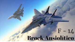 3 F 14  Brock Ansiolitiko Cover [upl. by Ronn120]