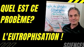 Eutrophisation  Pourquoi estce un problème environnemental [upl. by Enirok]