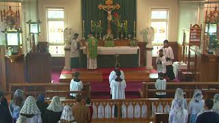 SSPXNZLIVE  TwentyFifth Sunday after Pentecost  Sung Mass  19th November 2023 [upl. by Inge]