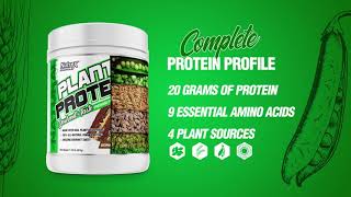 Nutrex Plant Protein  Delicious Tasting Vegan Non Whey Protein Powder [upl. by Salene]