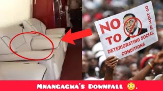 Why Mnangagwa Must Step Down Unveiled 😳 [upl. by Ynna]