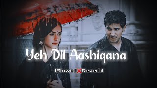 Yeh Dil Aashiqana  Slowed amp Reverb  Kumar Sanu Alka Yagnik slowreverb lofi kumarsanu [upl. by Rea]