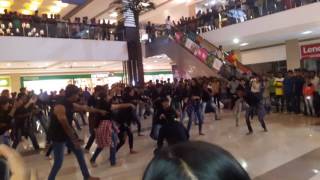 Mit College Aurangabad Flashmob At Prozone Mall [upl. by Volin]