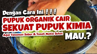 DENGAN CARA INI PUPUK ORGANIK CAIR BISA SEKUAT PUPUK KIMIA MAU  Tanaman Subur amp Tanah Sehat [upl. by Baynebridge]