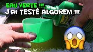 Algorem  Jai testé  estil dangereux pour les poissons  produit contre leau verte de bassin [upl. by Erme]