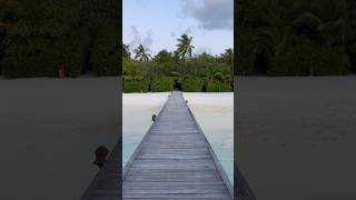 Maldives Constance Moofushi Experience in 1 minute [upl. by Terrence423]