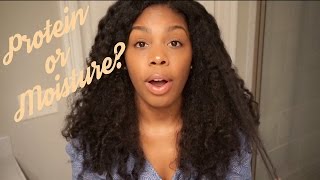 Does Your Curly Hair Need Protein or Moisture With TIPS [upl. by Anneehs816]