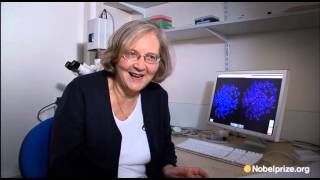 Elizabeth Blackburn 2009 Nobel Laureate in Physiology or Medicine [upl. by Homerus]